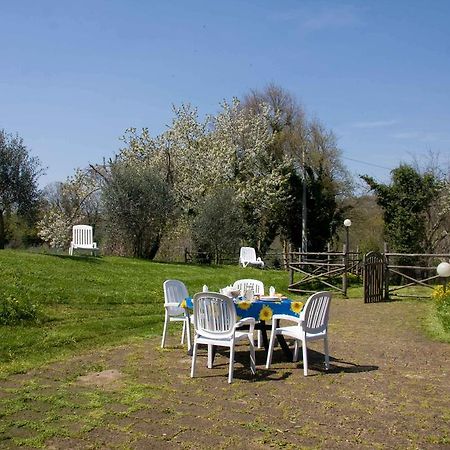 Relais Il Ciliegio Aparthotel Sorano  Esterno foto